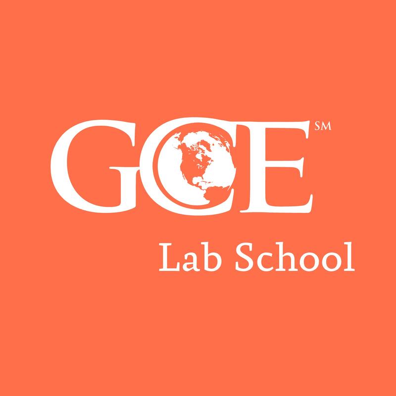 nine-carat-gce-lab-school